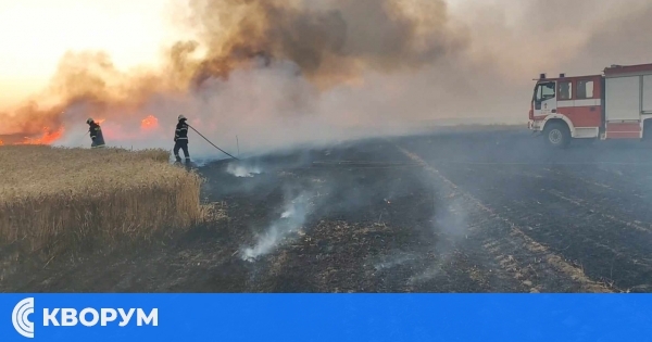 Огън унищожи 25 декара жито в Силистренско