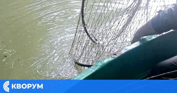 ИАРА намери винтери в река Дунав