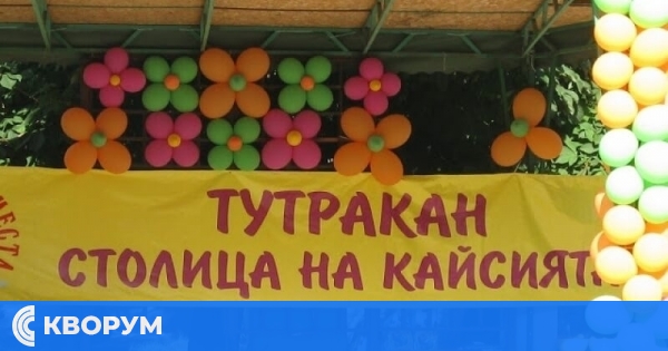 Тутракан - столица на кайсията