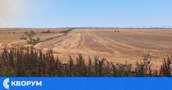 Община Главиница обявява повторен публичен търг за отдаване под наем на земеделска земя