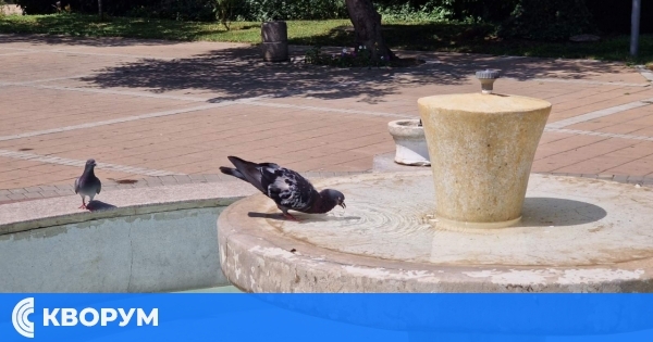 Метеоролози: От утре температурите скачат