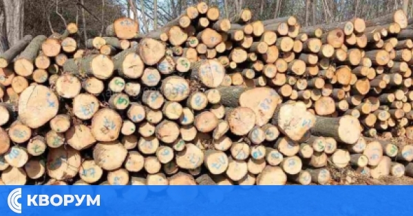 Община Ситово предлага дърва за огрев на жителите си