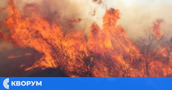 Кметът на Община Тутракан и заместника му дариха за пострадалите от пожарите в село Воден