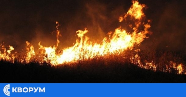 Пожар на 100 000 кв.м. в Краново: Пожарникари и доброволци спасиха селото