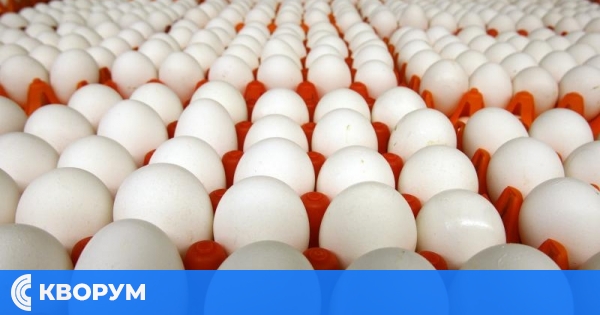 Асоциацията на промишленото птицевъдство искат забрана за внос на яйца от Украйна