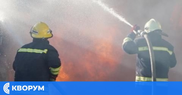 Огнена стихия погълна 22 дка гора и 200 пчелни кошера в Тутракан