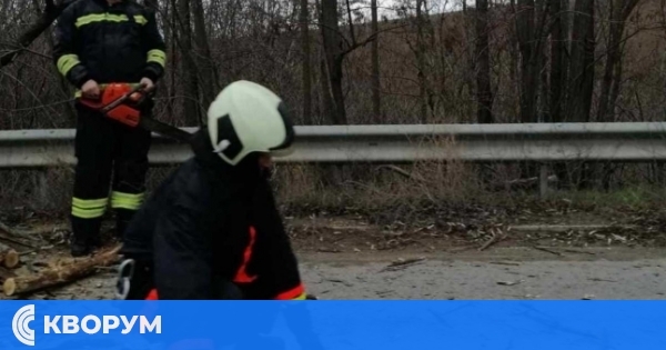 Огнеборци в Алфатар освобождават пътя от паднало дърво в ранни зори