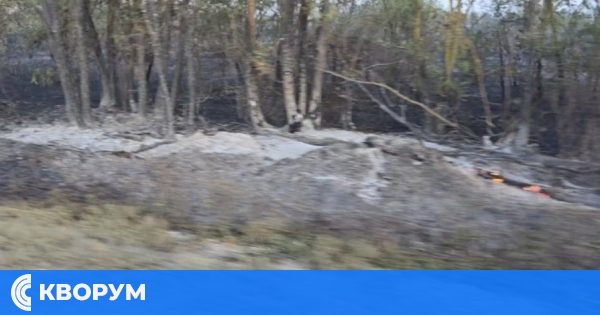 Огнеборци и земеделец с багер спасиха две къщи от пожар в Коларово