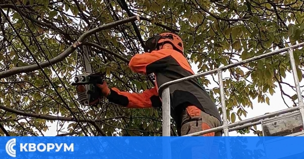 Започна прочистване на мрежите за ниско и средно напрежение в Община Дулово