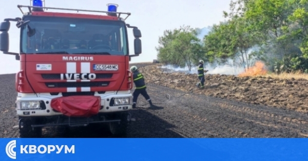 Огнеборци и доброволци предотвратиха пожар в смесена гора край село Алеково