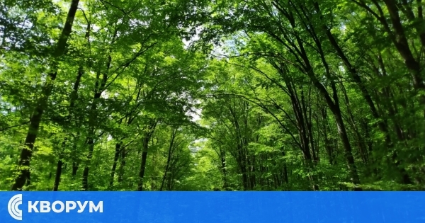 1 921 проверки в горите на Централна Северна България през август