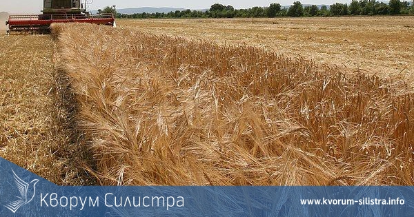 Забраниха търсенето на шистов газ в Добруджа