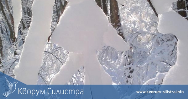 Студ , сняг и дъжд вещаят синоптиците за следващите дни