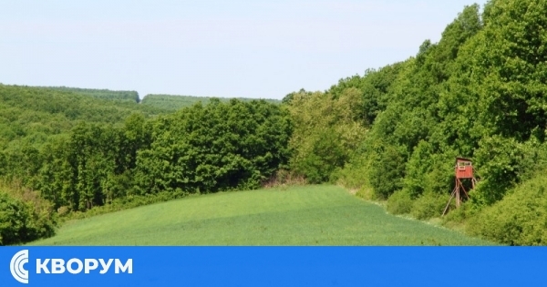 ДЛС "Каракуз" в Дулово обявява отдаване под наем на дивечови ниви за стопанската 2024/2025 година