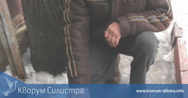 Силистренец спаси безпомощен лебед