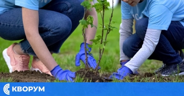 Деца от Дулово осиновяват дръвчета в акция "Осинови дръвче"