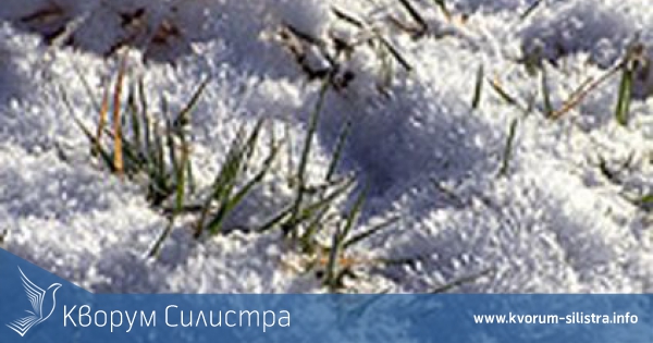 Есенниците застращени от замръзване