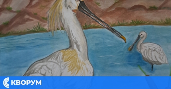 Смесени колонии от чапли днес необезпокоявано обитават Сребърна