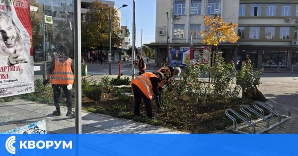 Свободни работни места в област Силистра