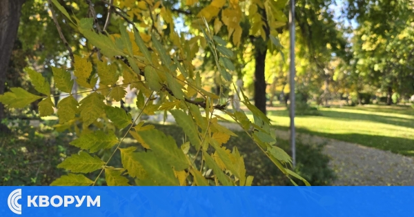 Седмична прогноза: Опасност от слани в началото на седмицата, слънчево време до петък