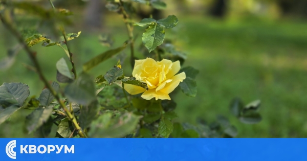 Слънчев вторник