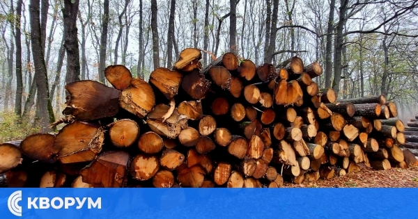 Над 81 000 кубика дърва за огрев са предоставени на физически лица в обхвата на ДП – Габрово от началото на годината