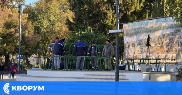 Силистра се подготвя за празниците: започна монтажът на коледната украса и елхата