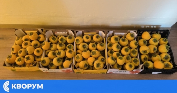 Детска градина "Добруджа" в Силистра стартира екологичен проект "Вкусната градинка"