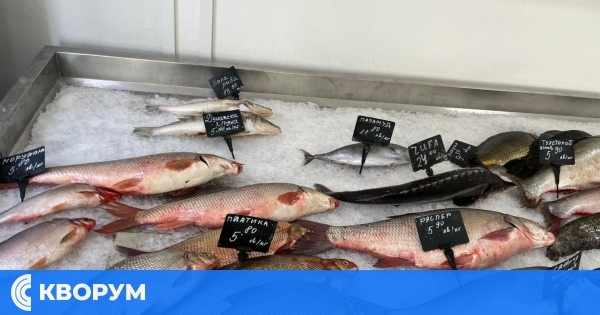 БАБХ започва засилени проверки на риба и рибни продукти преди Никулден