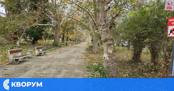 Слънчева и студена неделя