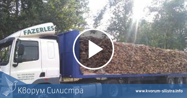 Дървопреработвателната индустрия пред фалит