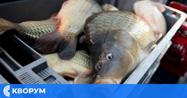 Никулденски празник в Тутракан на 6 декември