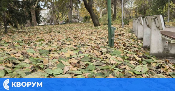 Облачен четвъртък с превалявания