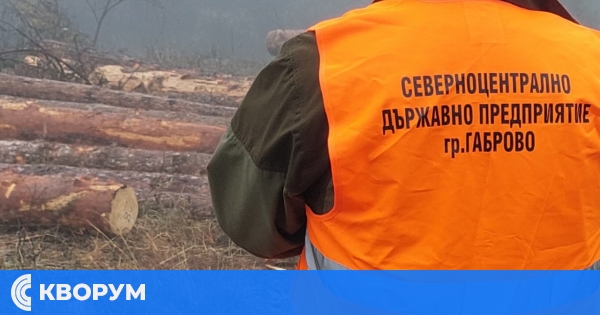 Почти 3 000 проверки в горите на Централна Северна България през ноември