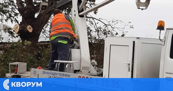 Община Главиница предлага безплатен телефон за сигнали и съдействие