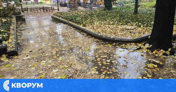 Дъждовен понеделник