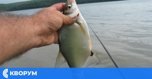 Административният съд в Силистра потвърди глоба за незаконен риболов в Дунав