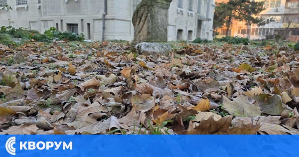 Времето през следващата седмица