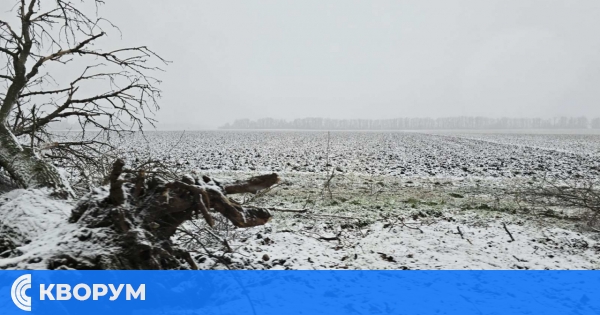 Прогноза за януари: Снежен месец - от минус 20 до плюс 15