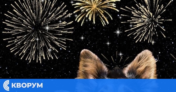 Посрещането на Нова година: Грижа за домашните любимци по време на празниците