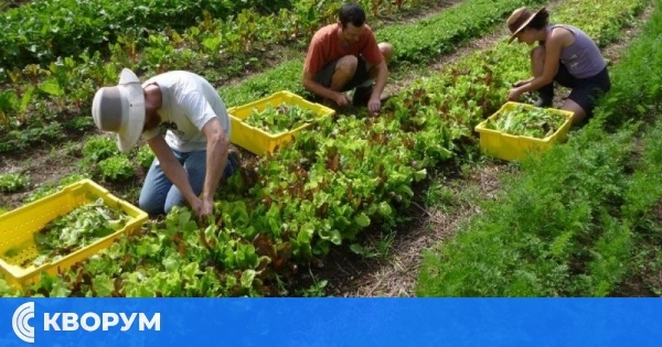 Световният икономически форум посочи коя професия ще е най-търсена в бъдеще