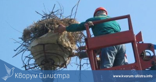 Е.ОН България ще монтират платформи за щъркелови гнезда