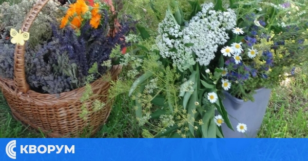 Краен срок за билкозаготвителите в Силистренско