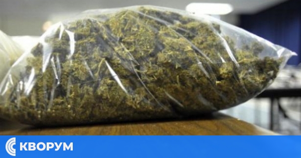 Ученик хванат с огромно количество канабис в Силистра