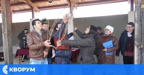 Ситово ще отбележи Трифон Зарезан с празник и конкурс за най-добро домашно вино