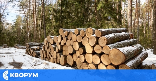 Община Главиница обявява прием на заявления за дърва за огрев за сезон 2025–2026