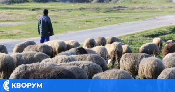 Кметство Проф. Иширково ограничава движението на селскостопанските животни