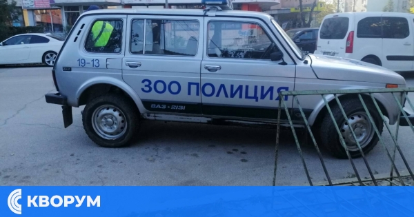 Зоополицията разследва смърт на куче в Брадвари