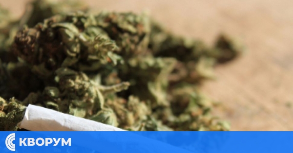 24-годишен задържан с над 17 грама канабис в Дулово