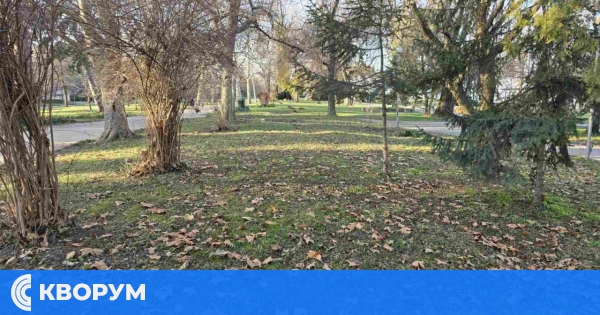 Минусови температури в сряда в Силистра